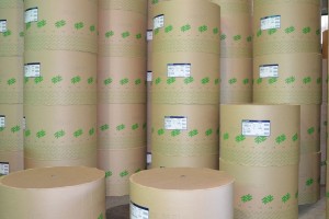 Norske Skog moves into packaging