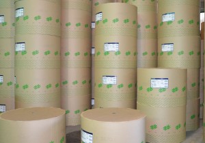 Norske Skog into packaging with corrugated switch