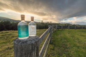 Boutique gin goes beyond its Eden base