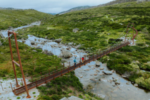 The Snowies Alpine Walk is pure poetry!