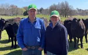 Best of NSW beef announced at MSA awards