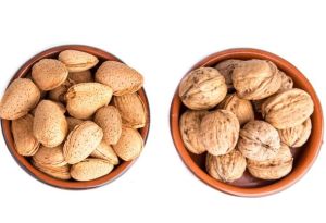 Aussie nut producers secure $5m grant