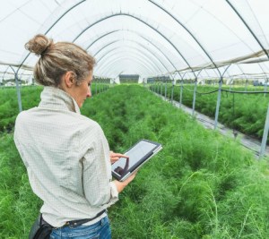 Supply chain digitisation