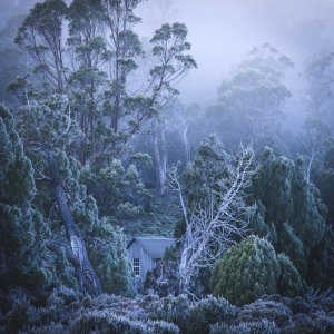 Photographer of the Year 2024: Earlybird entries closing soon