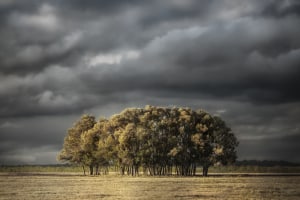Photographer of the Year 2024 presented by Ted's Cameras closes this weekend!