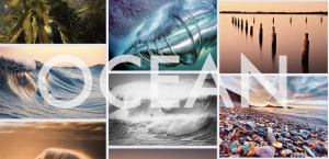 October free monthly photo comp - The winners!