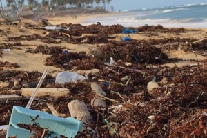 Plastic Oceans, Replas educate on plastic impact