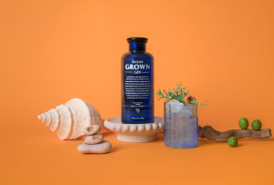 Regrowing coral reefs with gin