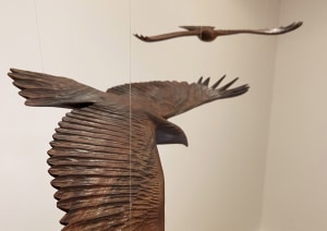 On the wings of eagles: another award for Olivia O'Connor
