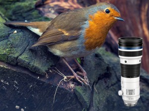 Review: Olympus M.Zuiko 150-400mm F4.5 TC1.25x IS PRO lens