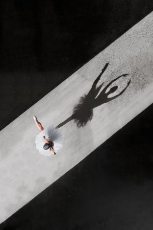 Ballerine de l'air by Brad Walls