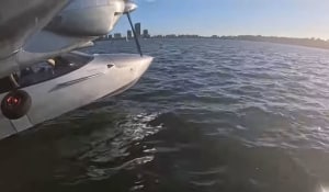 FRIDAY FLYING VIDEO: Alighting on the Swan
