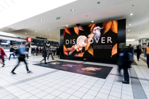 oOh!media roars back, but with focus on digital