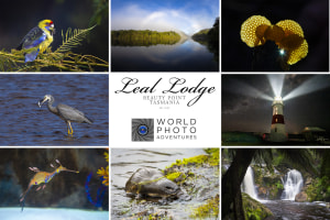 Win big with World Photo Adventures