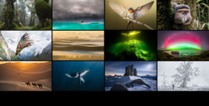Winners and finalists announced in Wilderness Photographer of the Year 2024, presented by Mountain Designs