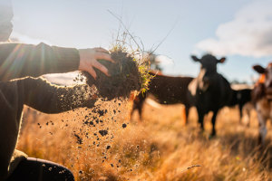 Australian certified organics pass $1bn in sales