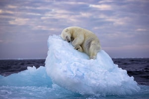 People&rsquo;s Choice: Wildlife Photographer of the Year 2023