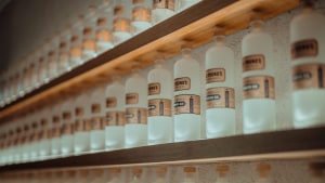 Old Young's 'gin-ternship' raises $1.4m towards $30m distillery