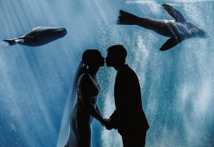 Q&A with wedding photographer, Ashley K