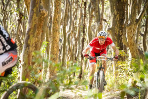 Awaba scores $450,000 grant for new trails