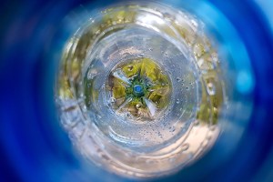 Plastics in packaging: The road to circularity
