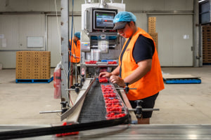 Pi&ntilde;ata Farms moves to heat sealed punnets