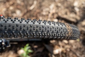 TRAIL TEST: Panaracer Driver 29er Pro Tyres
