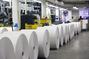 Opal lockout continues as tensions rise