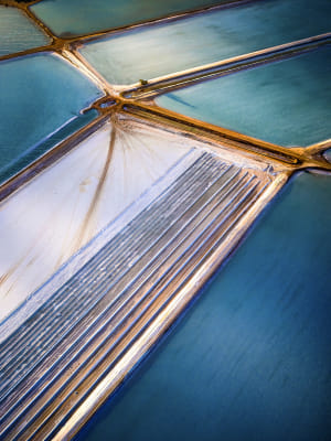 World-class photographers revealed as judges for Australasia&rsquo;s Top Emerging Photographers 
