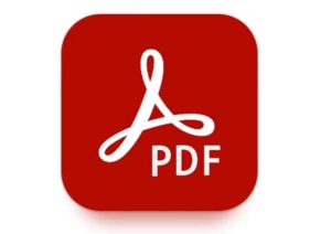 PDF CELEBRATES 30 YEARS