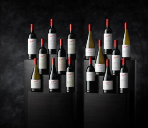 Penfolds leads Treasury Wines growth, drops sale of low-end wines