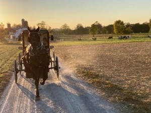 The butter and the buggy: Pepe Saya takes on the US