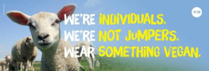 PETA Australia unveils anti-wool campaign