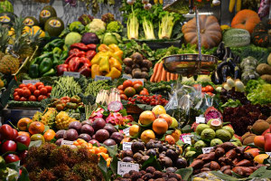 Sydney seminar: Ways packaging can prevent waste