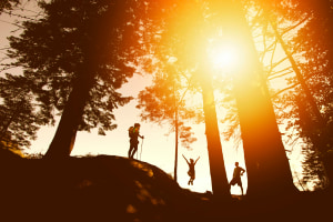 &lsquo;Nature prescriptions&rsquo; deliver mental health benefits