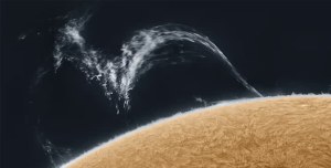 Photofields event in Sydney