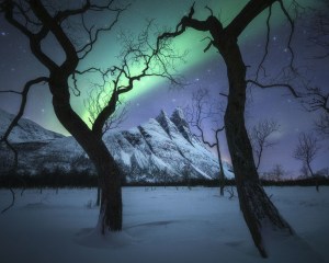 The winners of the International Landscape Photographer of the Year