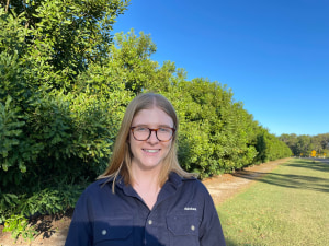 Tree nut frenzy expected for Australian export