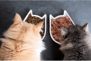 Oxipack leak detection keeps pet food safe and fresh