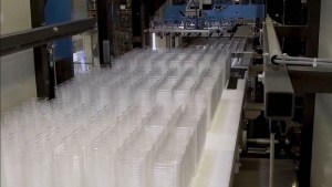 PET recyclable trays solution shines