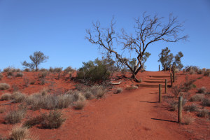 Funding for Australia&rsquo;s largest electrolyser 