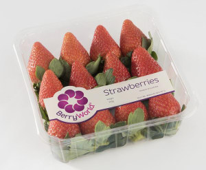 Berry producer takes a punt at new PET punnet