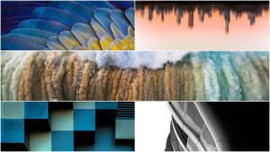 Who won our January 'Abstract' photo comp?