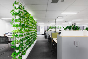 Power of potted plants 