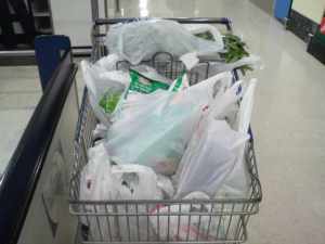 ACT residents back national bag ban