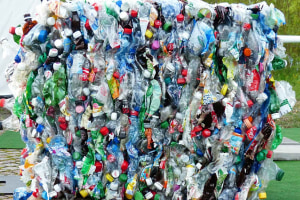 Recycling labels &ldquo;dog&rsquo;s breakfast&rdquo; according to ACOR
