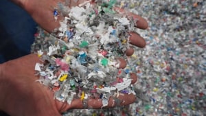 Kellogg's partners with REDcycle and Replas
