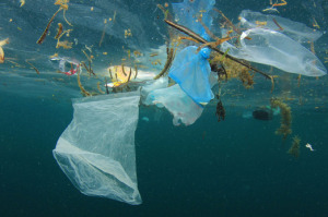 Mondelez, PepsiCo to cut virgin plastic in packaging