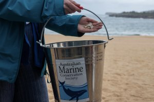 Australia&rsquo;s plastic use hits 4.2m tonnes