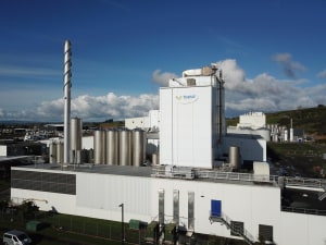 A2 Milk earnings growth falls with supply failure